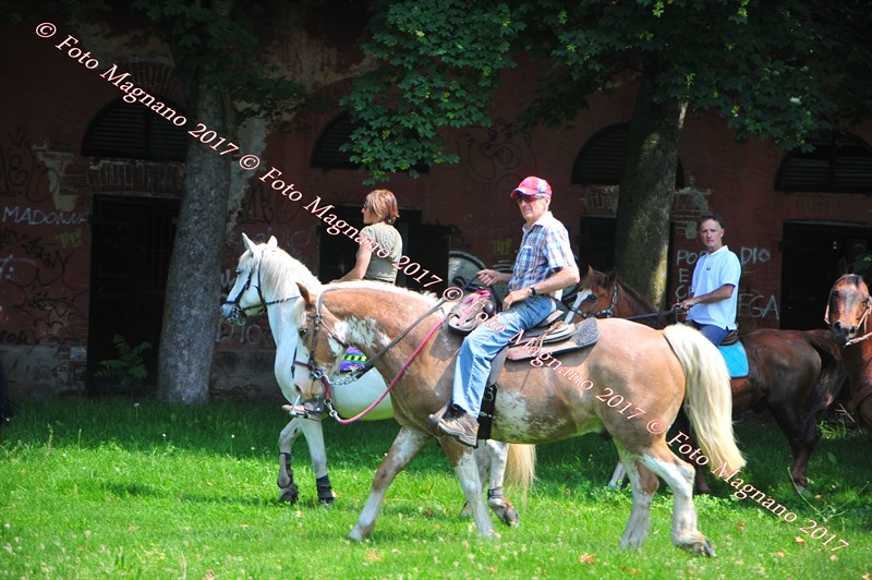 DSC_0939.JPG